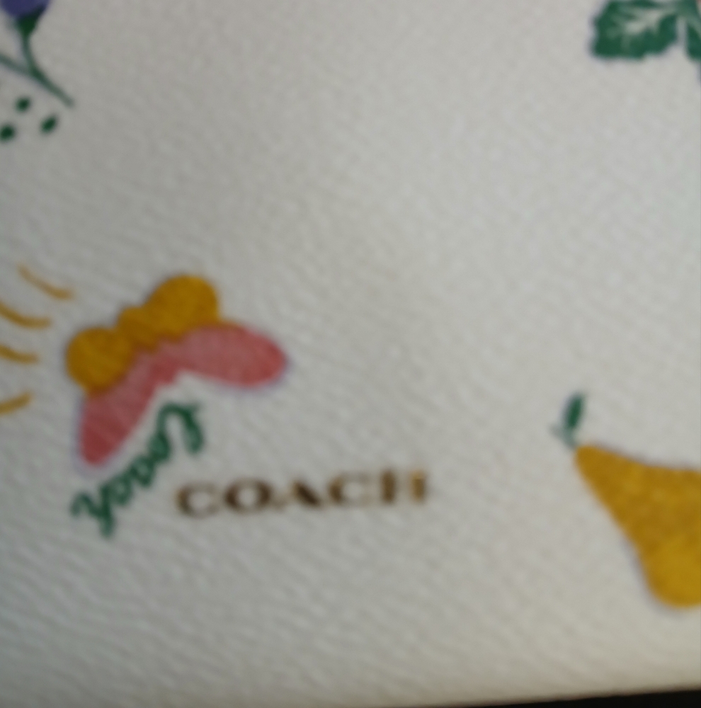 COACH Garden Print Turnlock Pouch/Clutch/IPAD Case - Picture 4 of 4